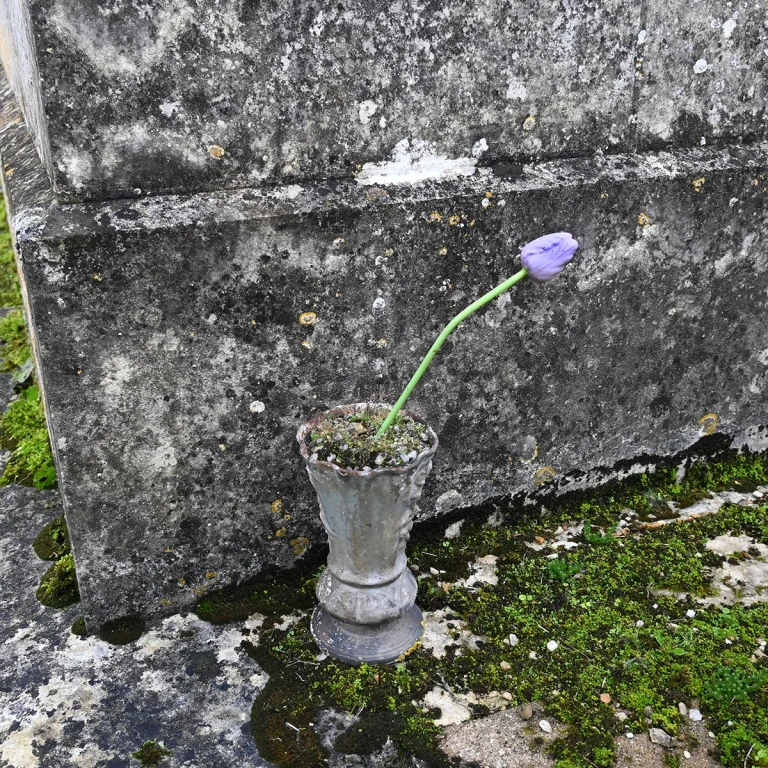 Caminando Flores 0345