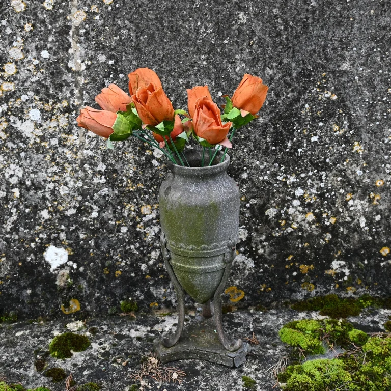Caminando Flores 0347