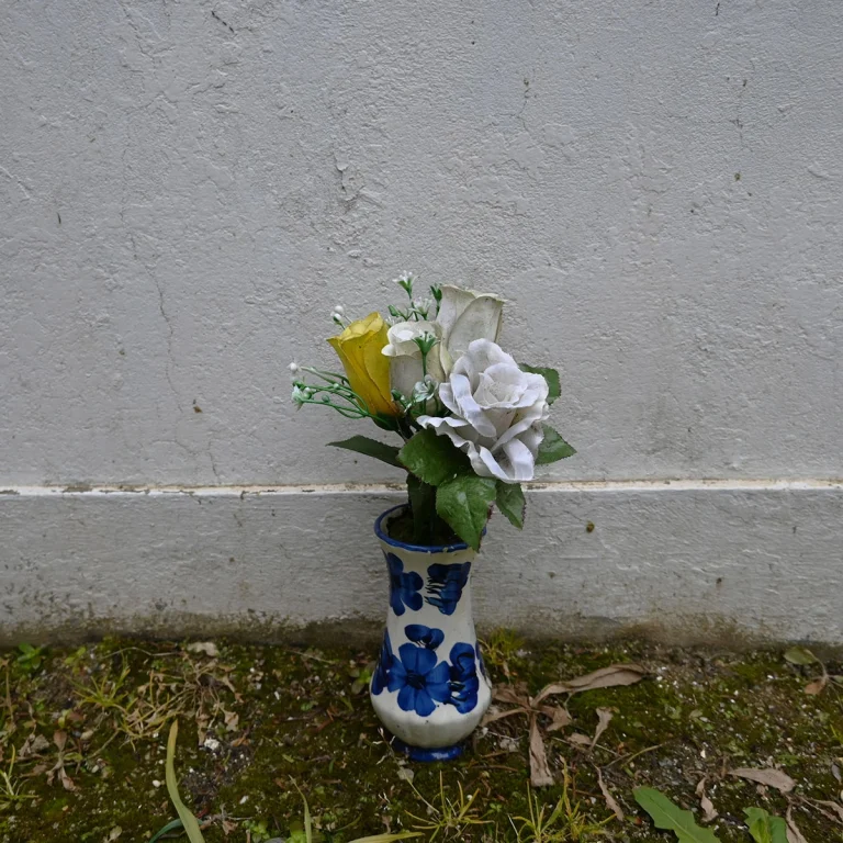 Caminando Flores 3004