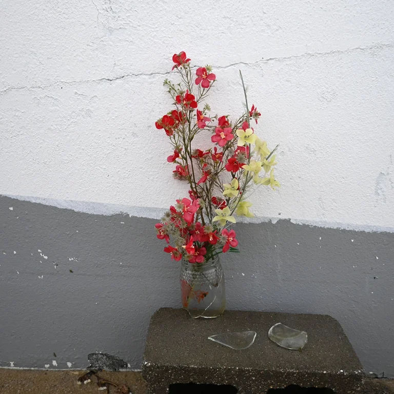 Caminando Flores 3199