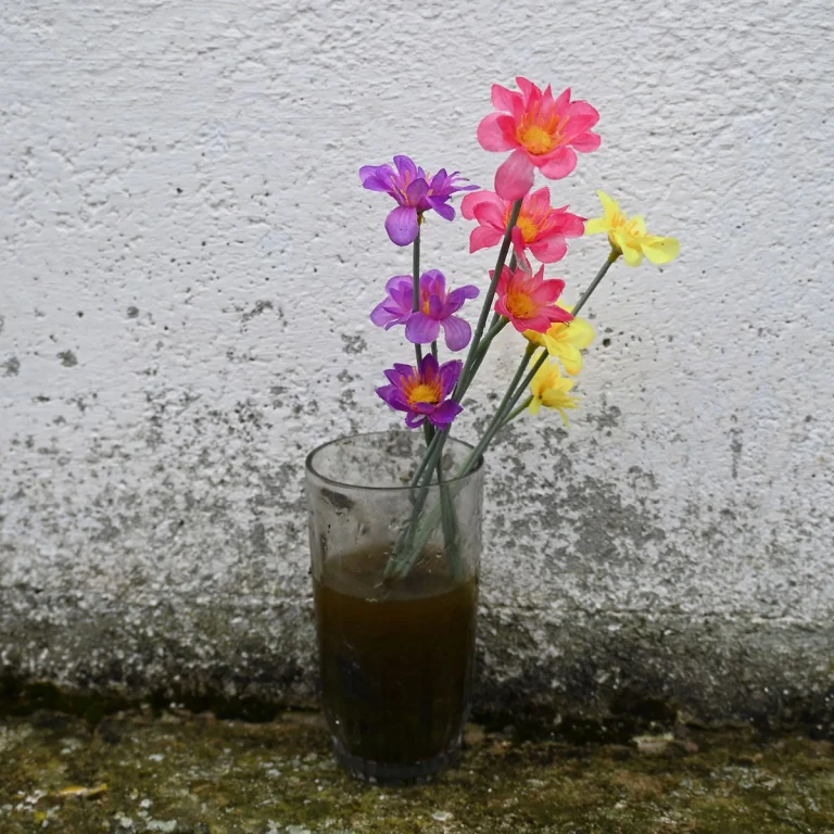 Caminando Flores 9163