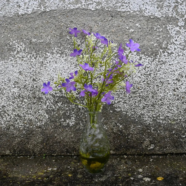 Caminando Flores 9170