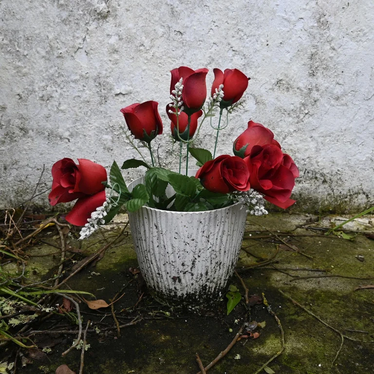 Caminando Flores 9536