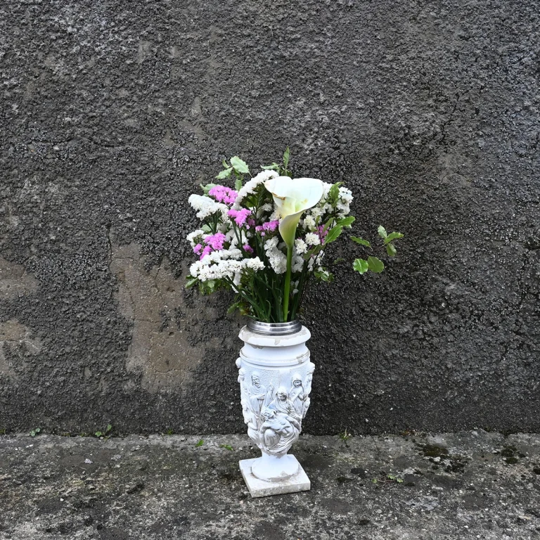 Caminando Flores 9543