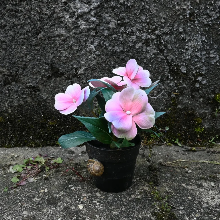 Caminando Flores 9546
