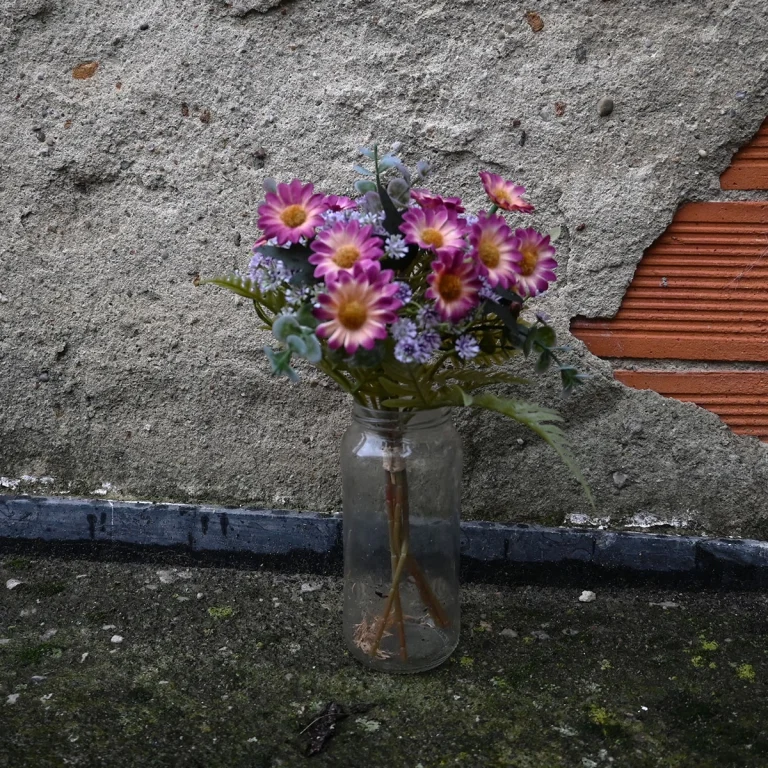 Caminando Flores 9566