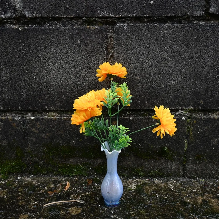 Caminando Flores 9575